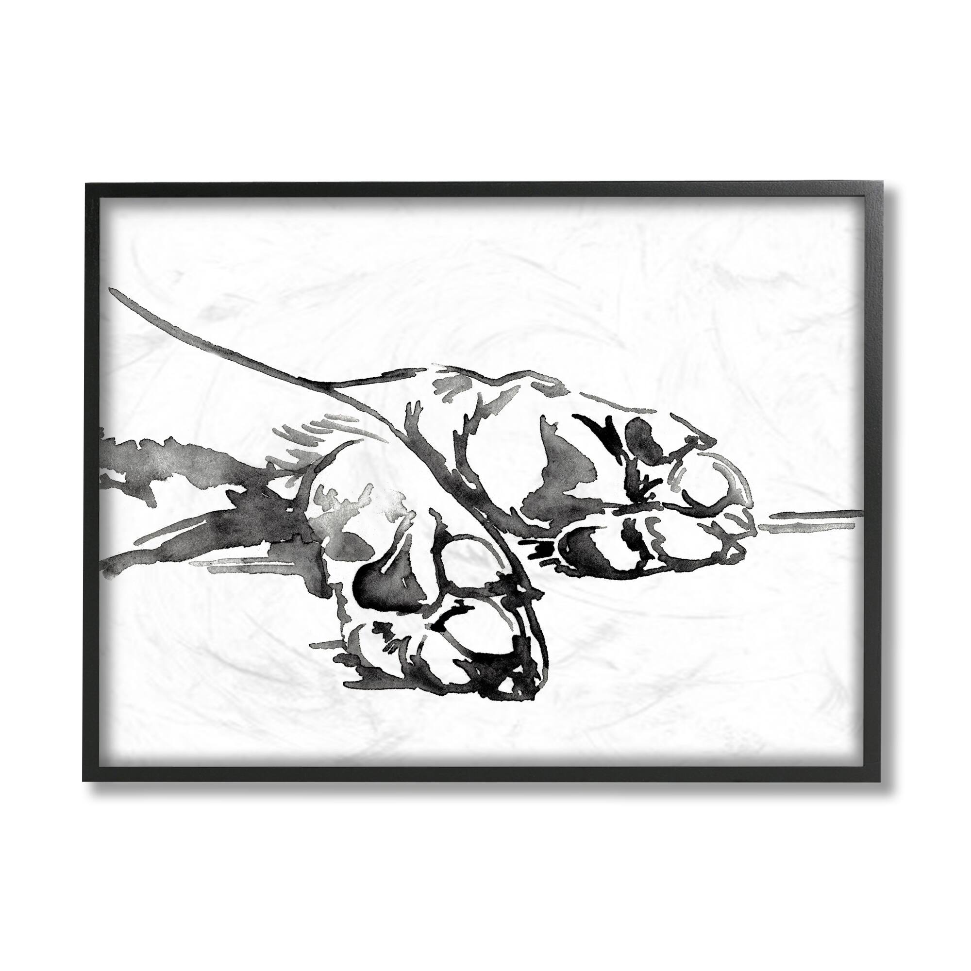 Stupell Industries Pet Animal Paws Minimal Ink Linework in Frame Wall Art